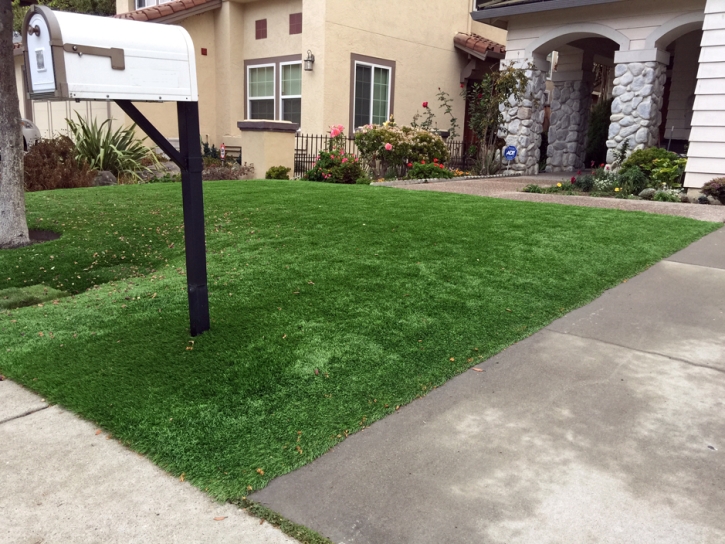 Artificial Grass Installation Tiburon, California Roof Top, Front Yard Landscaping