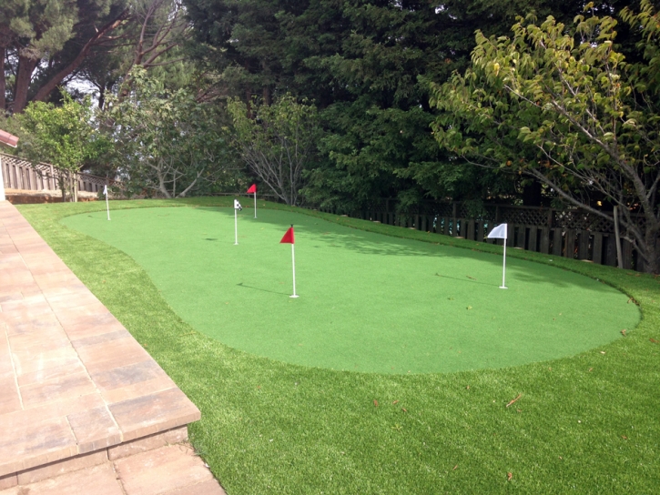 Artificial Grass La Honda, California Backyard Putting Green, Backyard Ideas