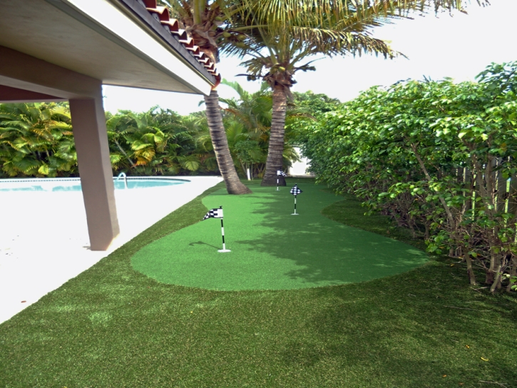 Artificial Grass La Selva Beach, California Rooftop, Backyard Landscaping