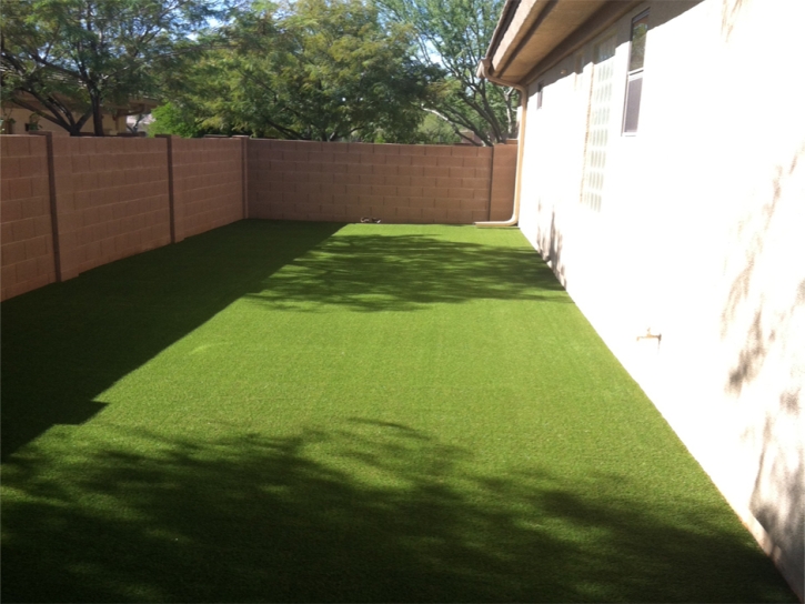 Artificial Grass Oakville, California Landscape Ideas, Backyards