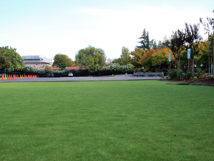 Artificial Grass Palo Alto, California Landscape Photos