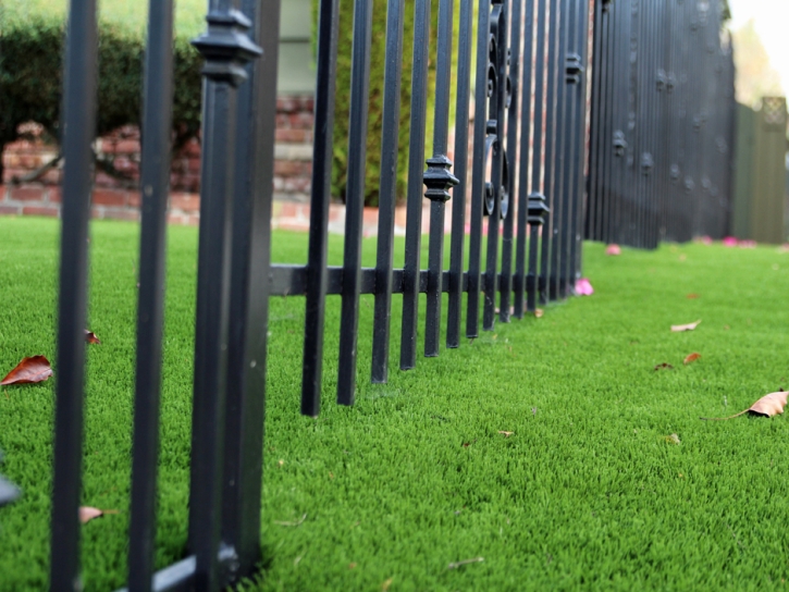 Artificial Grass Redwood City, California Roof Top, Front Yard