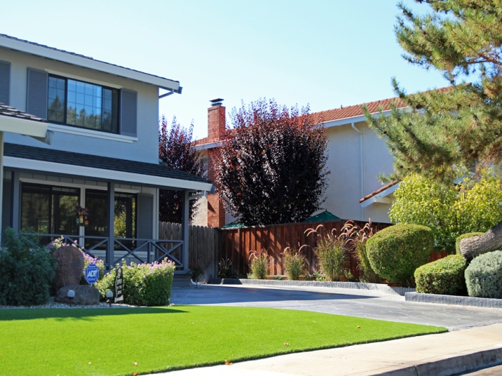 Artificial Grass Sacramento, California Landscaping, Front Yard Design