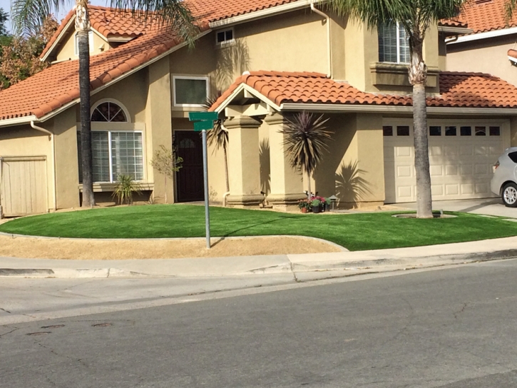 Artificial Grass San Carlos, California Rooftop, Front Yard Landscape Ideas