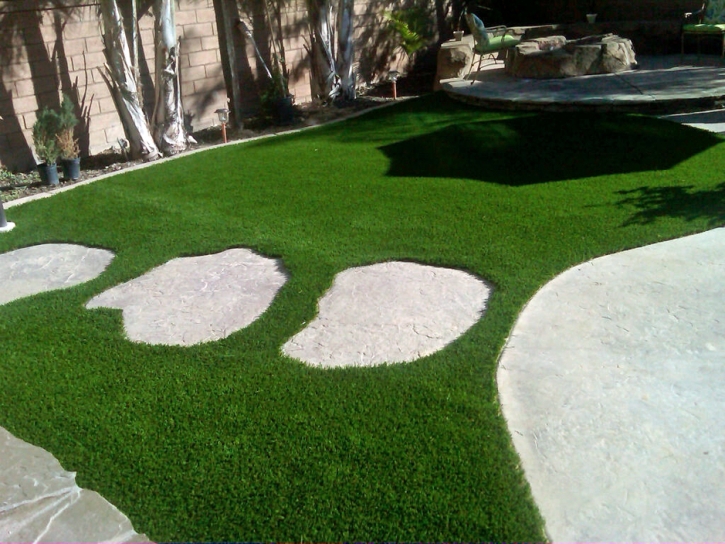 Artificial Grass South San Francisco, California Landscape Rock, Backyard Landscaping