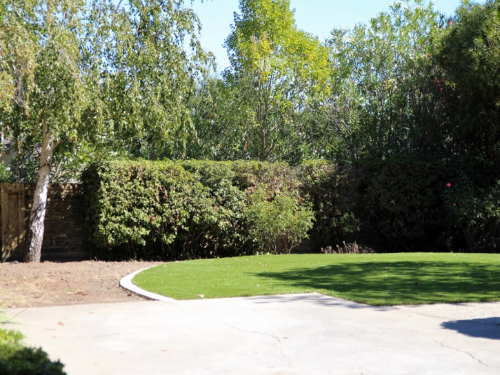 Artificial Grass West Menlo Park, California Backyard Playground, Backyard Landscaping