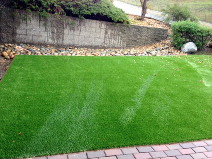 Artificial Grass Woodland, California Lawn And Garden, Front Yard