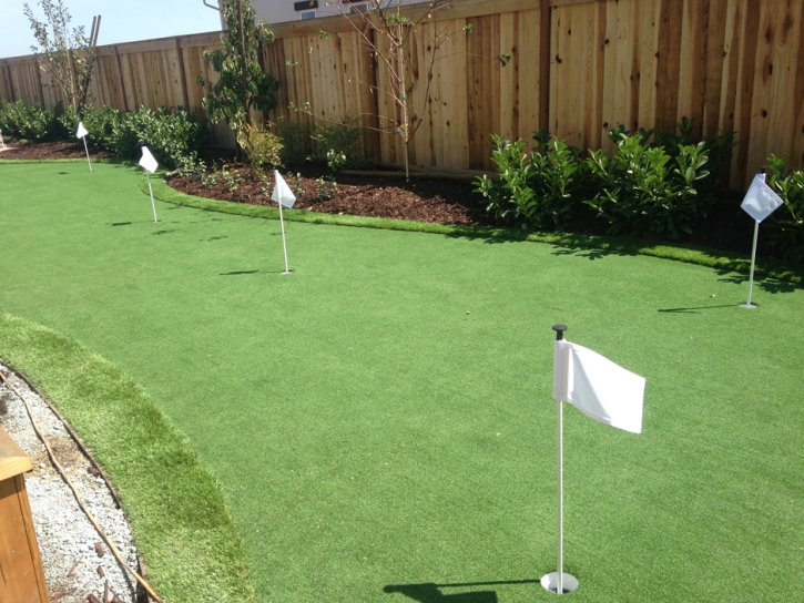 Artificial Grass Zayante, California Indoor Putting Green, Backyards