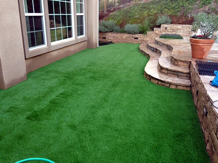 Artificial Lawn American Canyon, California Backyard Playground, Small Backyard Ideas