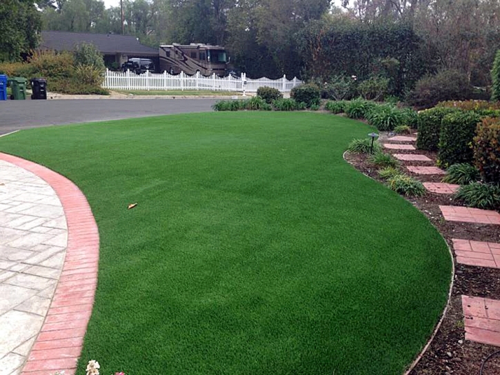 Artificial Lawn Aptos Hills-Larkin Valley, California Gardeners, Front Yard