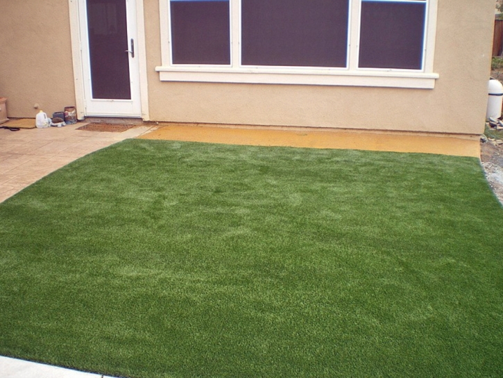 Artificial Lawn Berkeley, California Home And Garden, Backyard Ideas