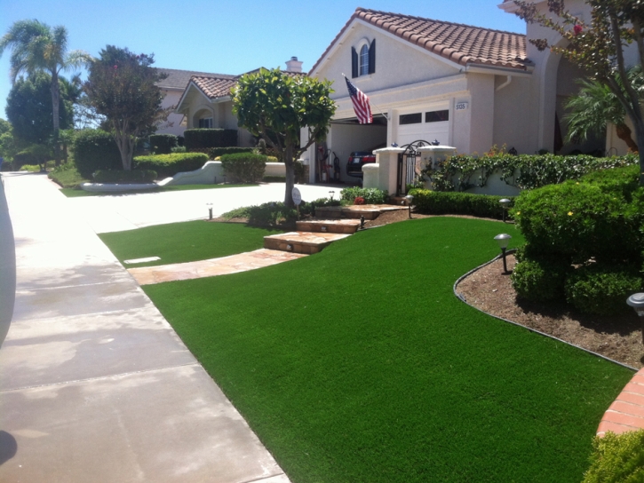 Artificial Lawn Bodega Bay, California Roof Top, Front Yard Landscaping Ideas