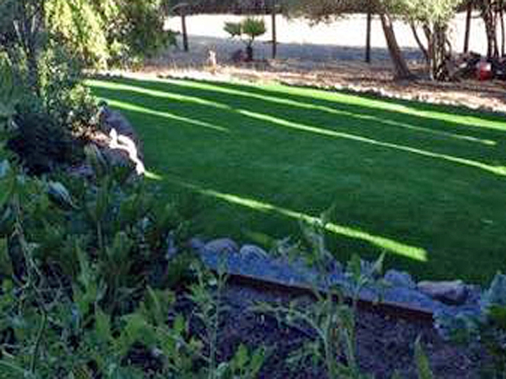 Artificial Lawn East Richmond Heights, California Landscape Ideas, Backyard Ideas