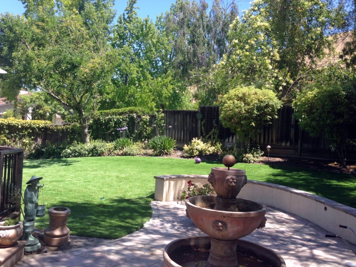 Artificial Lawn Pacheco, California Landscape Rock, Backyard Ideas