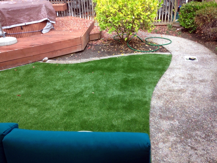 Artificial Lawn Shackelford, California Design Ideas, Small Backyard Ideas