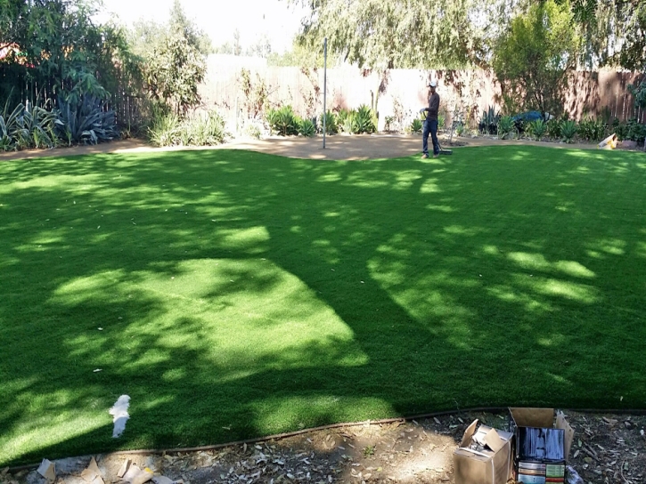 Artificial Lawn Vine Hill, California Landscape Photos, Backyard Garden Ideas