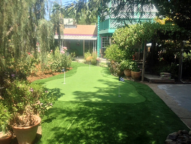 Artificial Turf Cost Capitola, California Landscaping