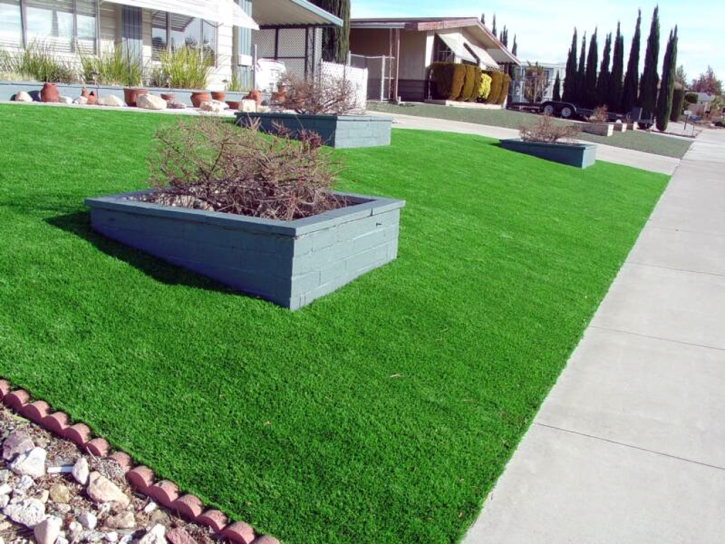 Artificial Turf Cost Emerald Lake Hills, California City Landscape, Small Front Yard Landscaping