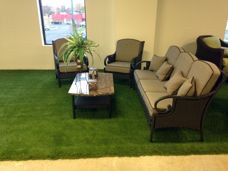 Artificial Turf Cost Moss Landing, California Design Ideas, Commercial Landscape