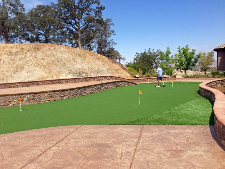 Artificial Turf Cost Muir Beach, California Design Ideas, Backyard Design