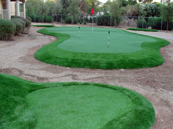 Artificial Turf Cost Rollingwood, California Putting Green Grass, Backyards