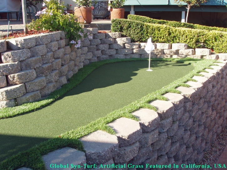 Artificial Turf Cost Tiburon, California Landscape Design, Small Backyard Ideas