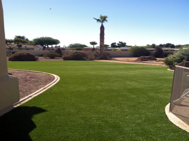 Artificial Turf Fairview, California Lawn And Garden, Backyard Landscaping Ideas