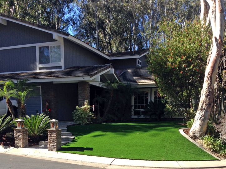 Artificial Turf Installation Bayview, California Landscape Photos, Landscaping Ideas For Front Yard