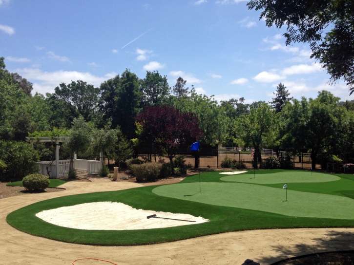 Artificial Turf Installation Inverness, California Putting Green Flags, Front Yard Ideas