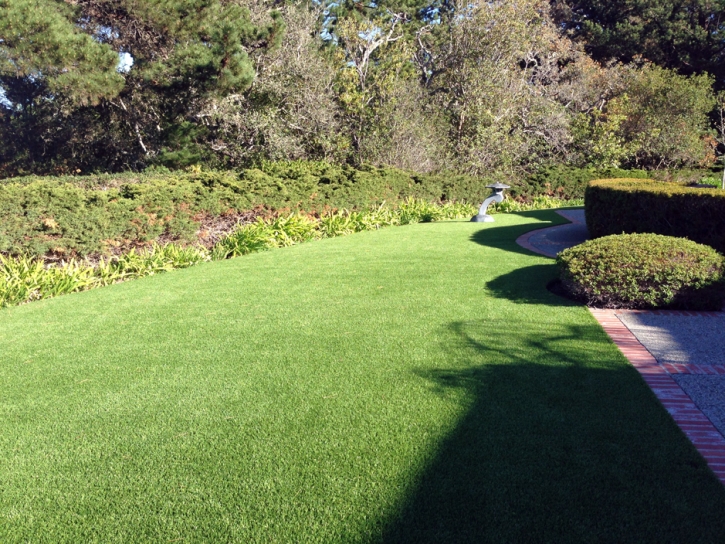 Artificial Turf Installation Monte Rio, California Design Ideas, Small Front Yard Landscaping