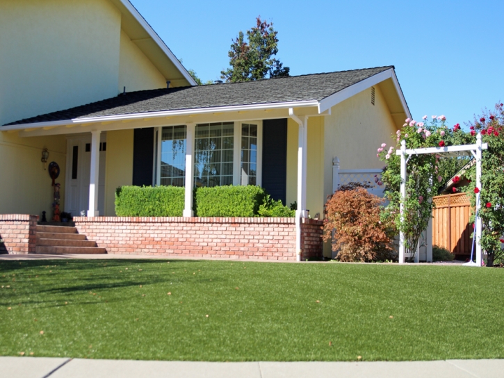 Artificial Turf Installation Mountain View, California Landscape Design, Front Yard Design