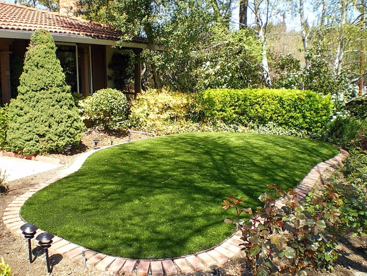 Artificial Turf Installation San Anselmo, California Backyard Playground, Backyard Ideas