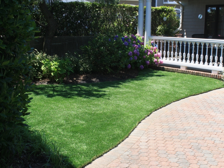 Artificial Turf Installation Valley Ford, California Dog Park, Front Yard Design