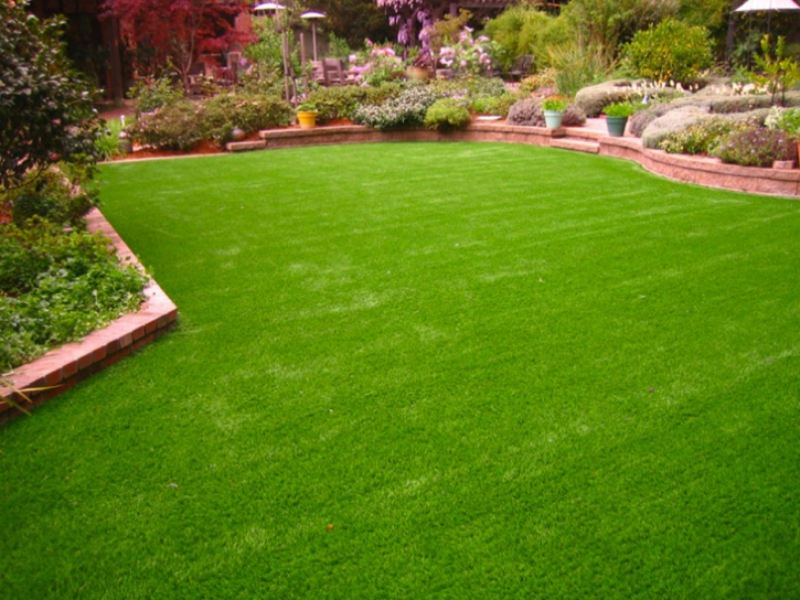 Artificial Turf Lucas Valley-Marinwood, California Backyard Playground, Backyards