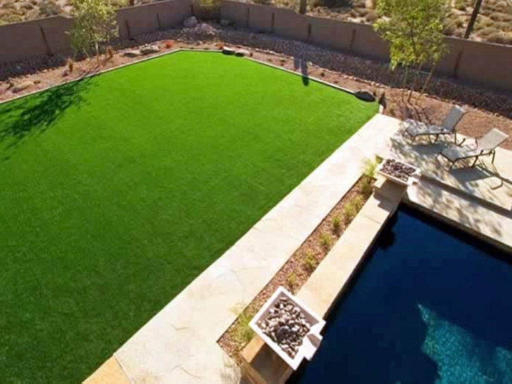 Artificial Turf Manteca, California Garden Ideas, Kids Swimming Pools