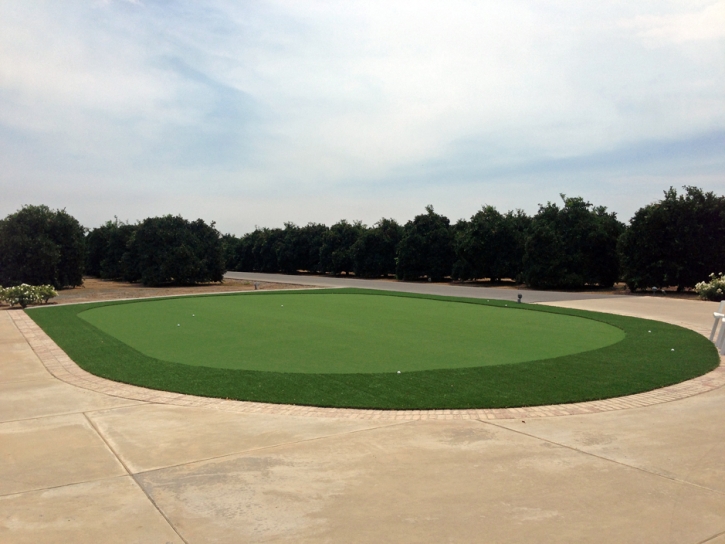 Artificial Turf Montara, California Rooftop, Front Yard Ideas