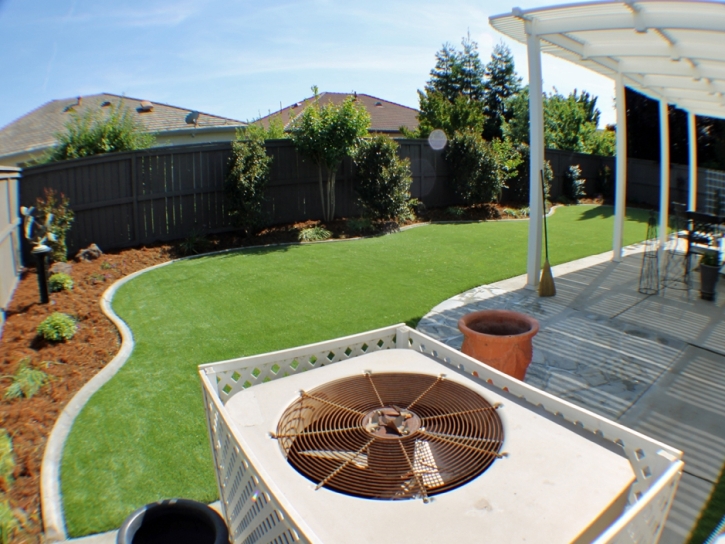 Artificial Turf Penngrove, California Landscape Photos, Backyard