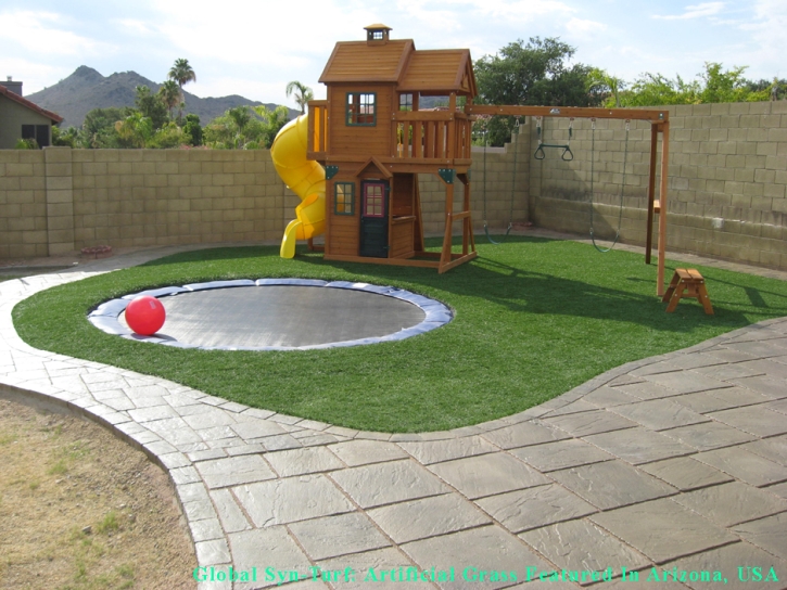 Artificial Turf San Bruno, California Garden Ideas, Backyard Garden Ideas