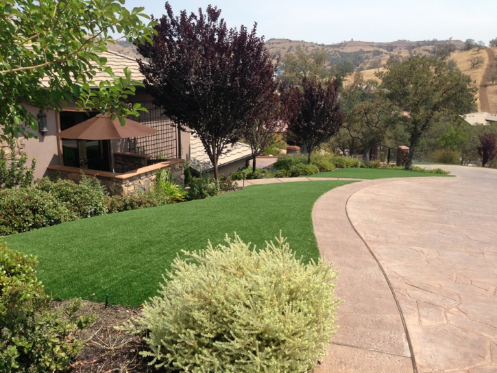 Artificial Turf Sebastopol, California Lawn And Garden, Front Yard Landscaping Ideas