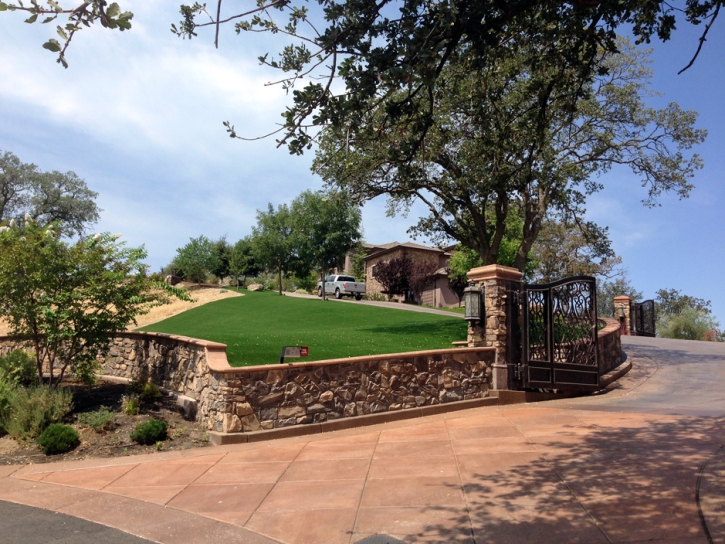 Artificial Turf Suisun, California Lawn And Garden, Front Yard