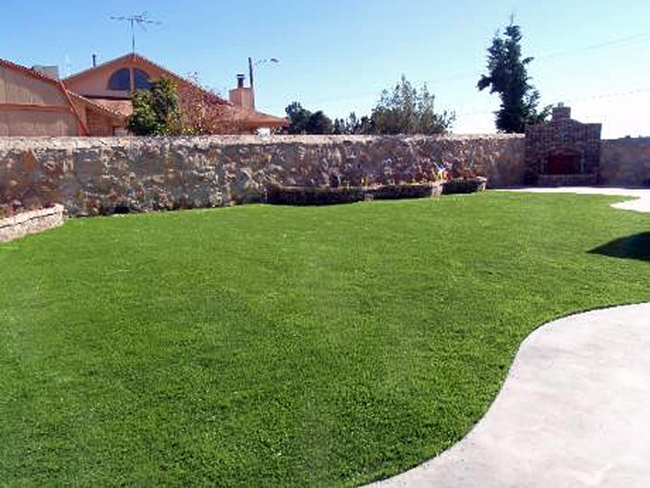 Artificial Turf Tamalpais-Homestead Valley, California Design Ideas, Backyard Garden Ideas