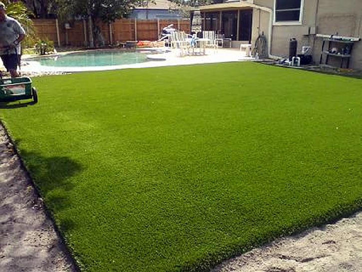 Artificial Turf Temelec, California Lawn And Landscape, Backyard Garden Ideas