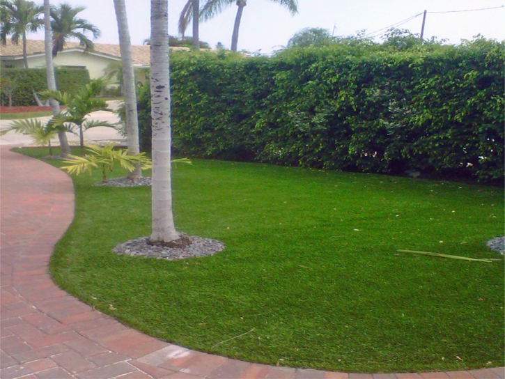 Artificial Turf Windsor, California Rooftop, Small Front Yard Landscaping