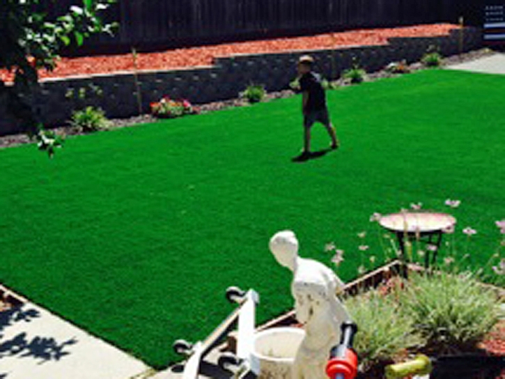 Best Artificial Grass Alto, California Landscaping Business, Backyards