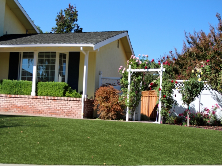 Best Artificial Grass Danville, California Gardeners, Front Yard Landscape Ideas