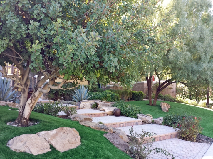 Best Artificial Grass Lodi, California Rooftop, Backyard Ideas