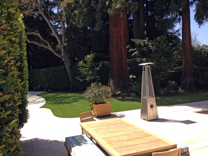 Best Artificial Grass Los Gatos, California Home And Garden, Backyard