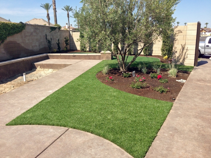 Best Artificial Grass Petaluma, California City Landscape, Front Yard Ideas