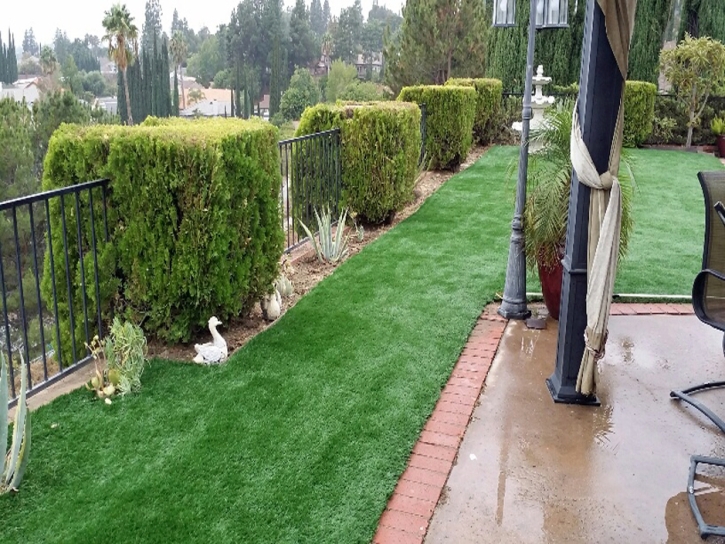 Best Artificial Grass Pleasant Hill, California Landscape Ideas, Beautiful Backyards