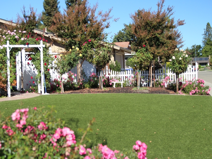 Best Artificial Grass Tracy, California Landscape Rock, Front Yard Landscaping Ideas